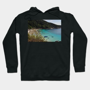 Beach Break Hoodie